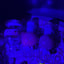 Small image 6
