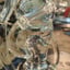 Small image 5