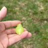 Small image 1