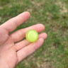 Small image 2