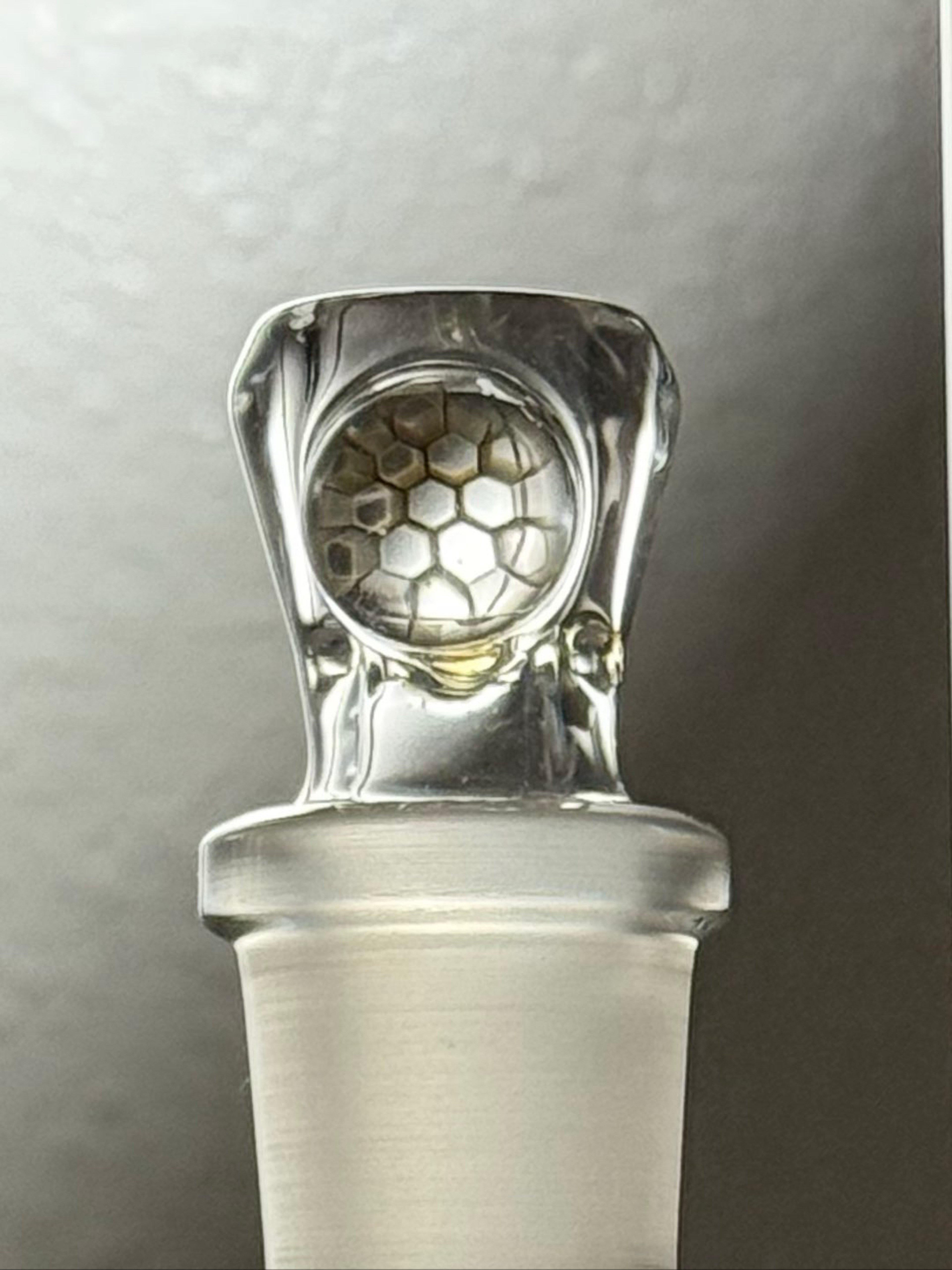 Hornless Shamby with Honeycomb Millie image 0
