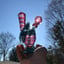 Small image 8