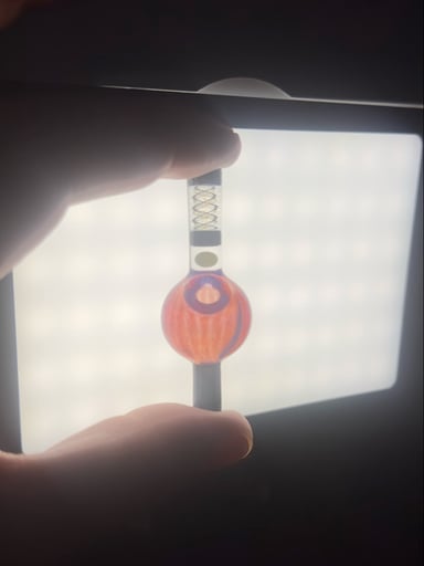 Preview pic of Grateful Dom Cap - Crushed Opal
