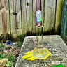 Small image 4
