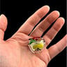 Small image 6