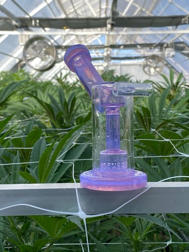 Preview pic of Mothership Elite Mini