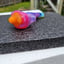 Small image 7