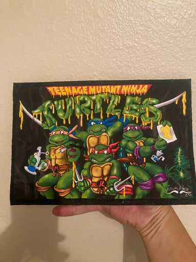 Preview pic of Tmnt mat