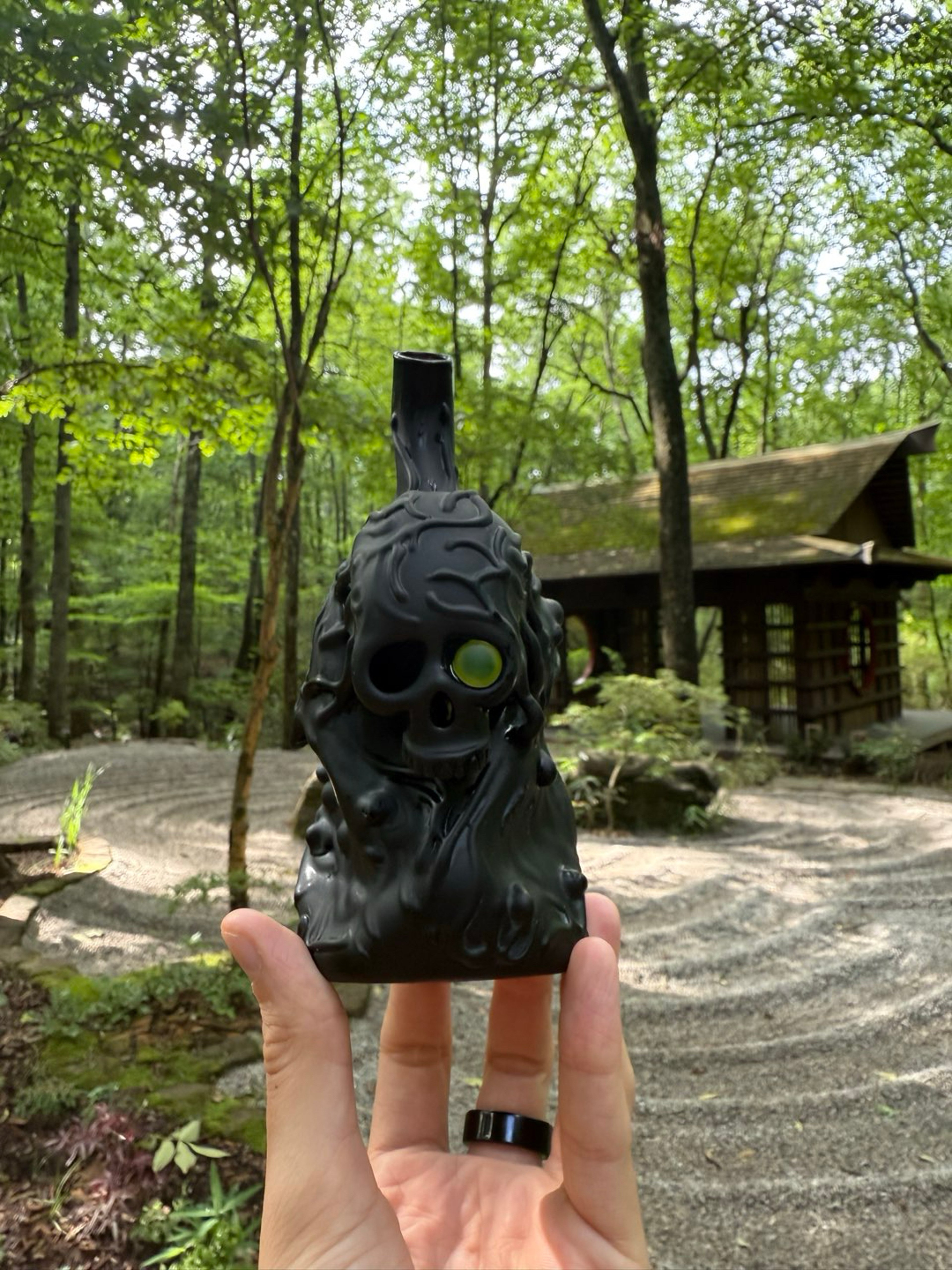 Preview pic of Aquariust Skull rig