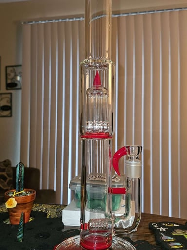 Preview pic of Sovereignty cherry 🍒  jumbo stem-8