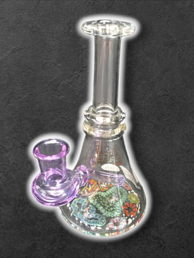 Preview pic of Murky Waters Studio - Coral Reef Jammer