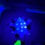 Small image 6