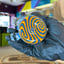 Small image 6