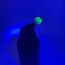 Small image 6