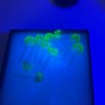 Small image 5