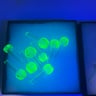 Small image 4