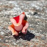 Small image 4