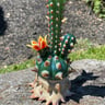 Small image 2
