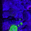 Small image 8