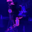 Small image 6