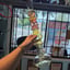 Small image 8