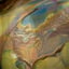 Small image 8