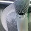 Small image 6