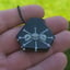 Small image 5