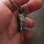 Small image 7