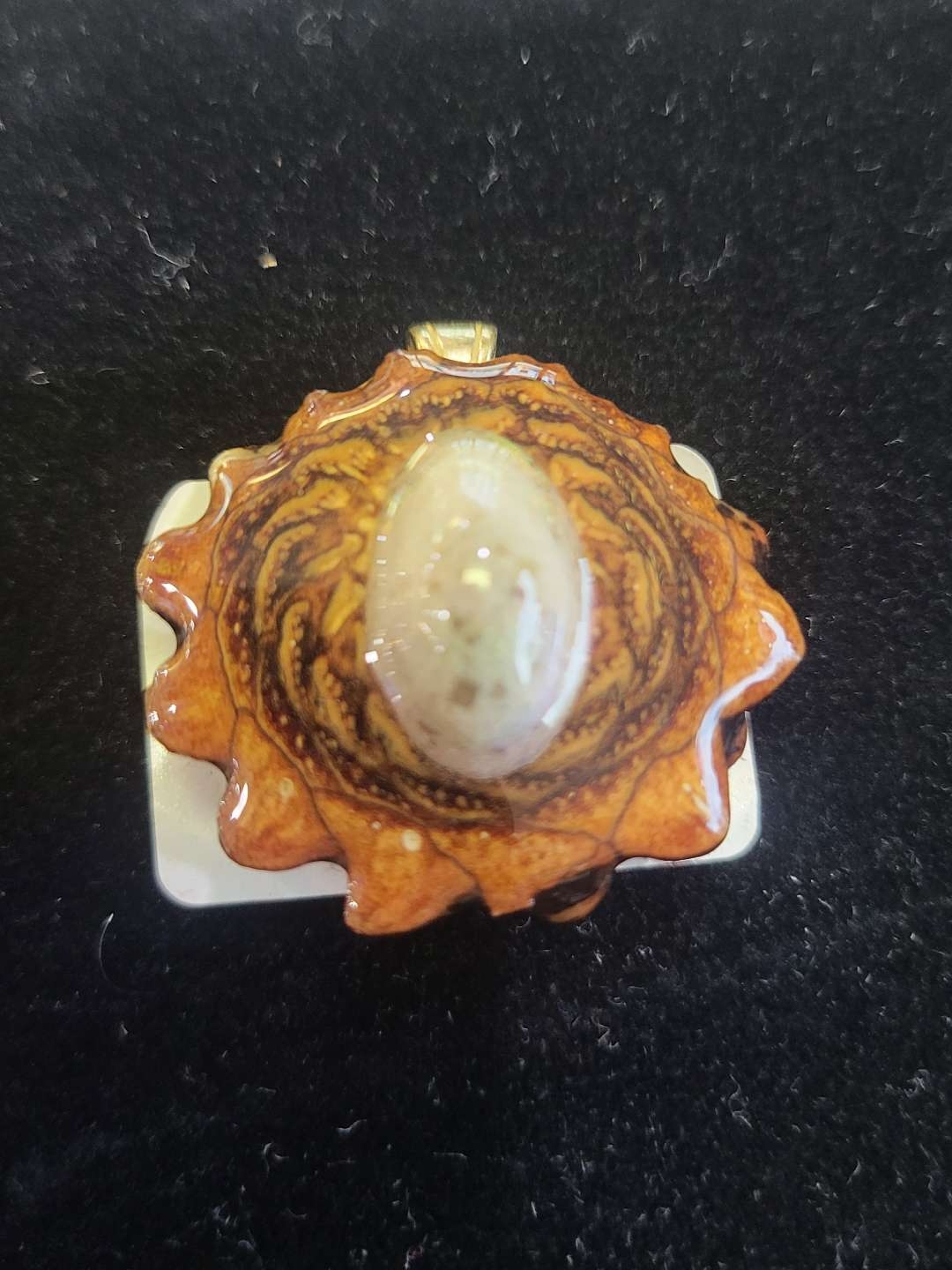 Third Eye Pinecone image 0