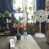Small image 3