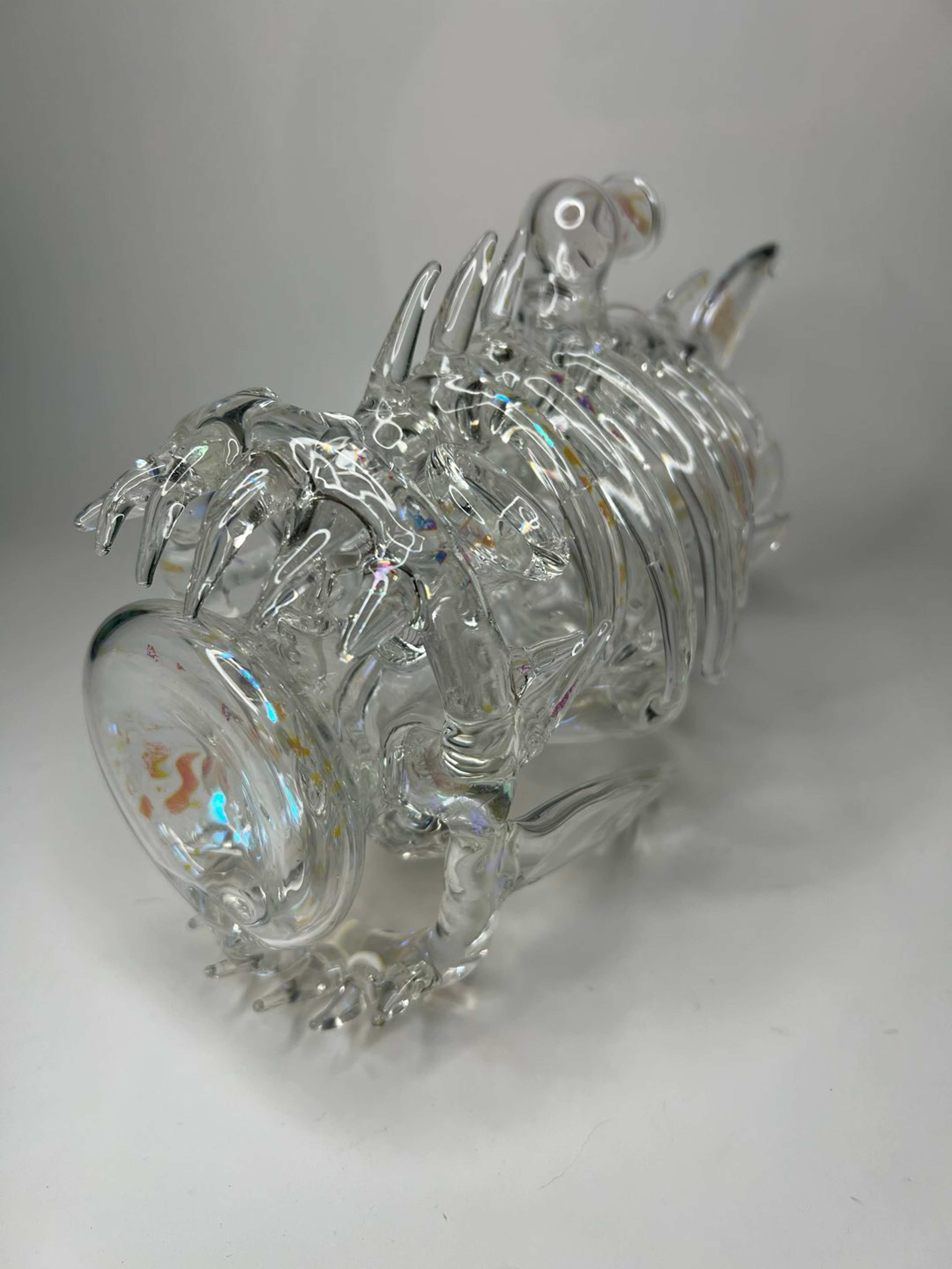 Preview pic of Fish Klein