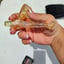 Small image 4