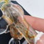 Small image 7