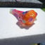 Small image 9