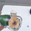 Small image 4