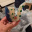 Small image 1