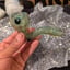 Small image 7
