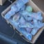 Small image 9