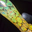 Small image 6