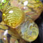 Small image 9
