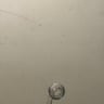 Small image 6