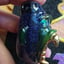 Small image 4