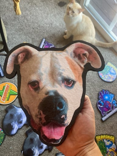 Preview pic of Custom made pet mat(your pet)