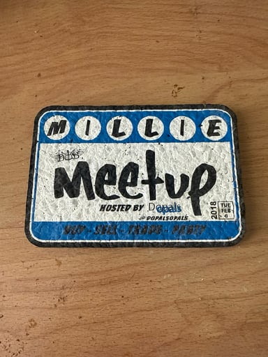 Preview pic of Dopals opals Millie meet up mat