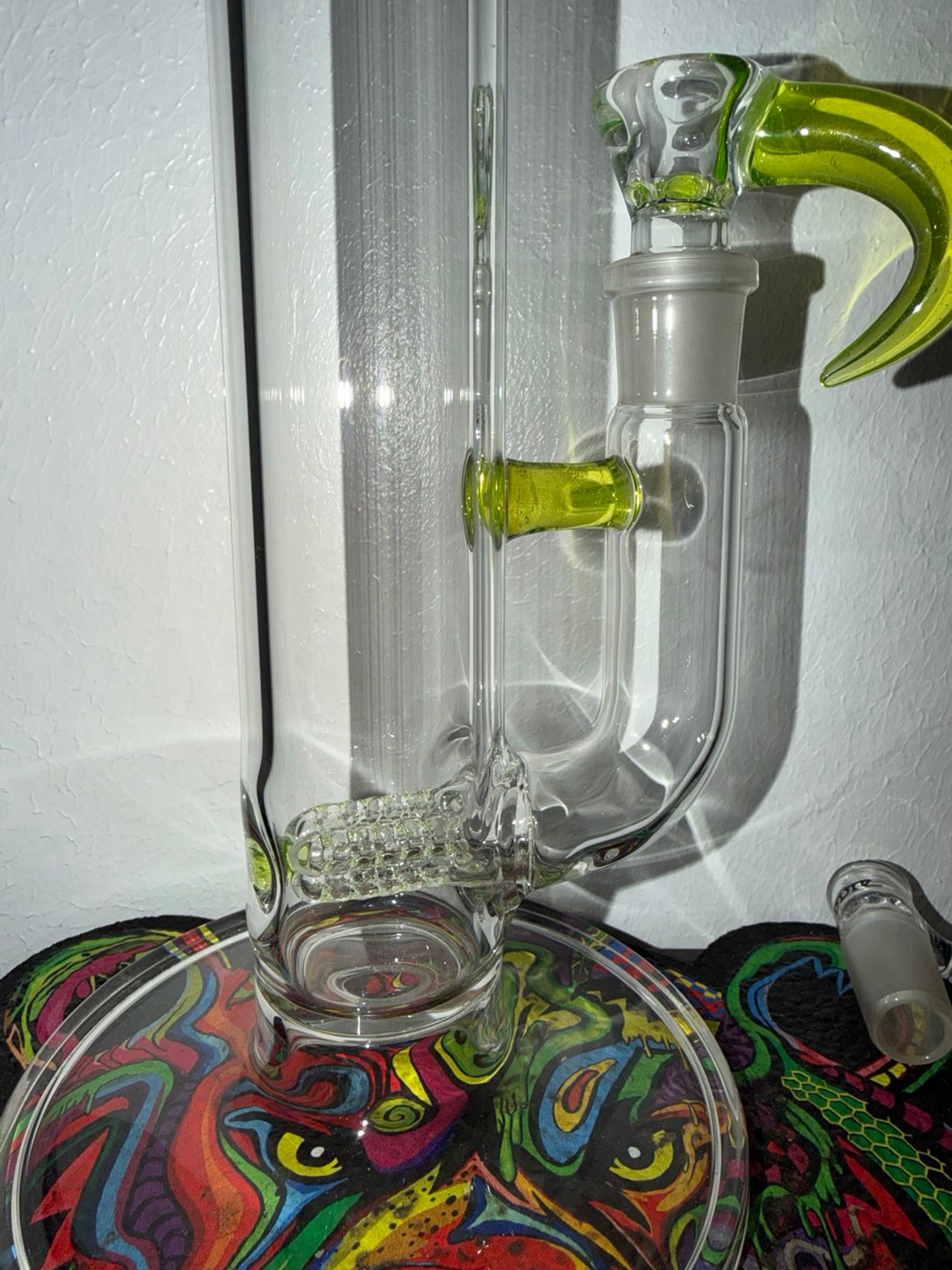 Kenta Kito image 0
