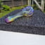 Small image 7