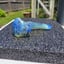 Small image 3