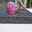 Small image 6