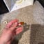 Small image 6